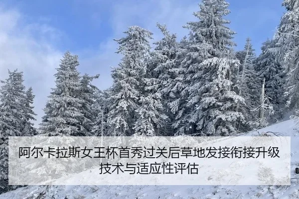 a-er-ka-la-si-nv-wang-bei-shou-xiu-guo-guan-hou-cao-di-fa-jie-xian-jie-sheng-ji-ji-shu-yu-shi-ying-xing-ping-gu-2-505.jpg